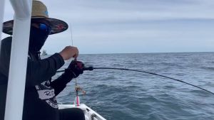 กลยุทธ์การจิ๊ก 30/40/60 กรัม เหยื่อ จิ๊ก RYOKO Strike Jigging