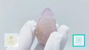 SG LOCAL - Authentic Spirit Quartz 南非精靈水晶