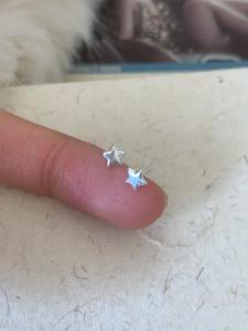 Pure Silver Star Ear Studs Womens Minimalist Small Cold Style Earring Bone Diamond Micro Paved Ear Jewelry Fashionable