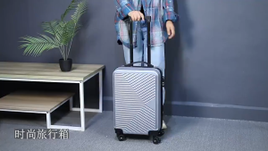 PG 20/24 Inch Business Luggage Travel Suitcase ABS+PVC Trolley Case Hard Shell Luggage