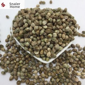 FEIZHUXIANSEN | Small Seed Mix Bird Food 500g