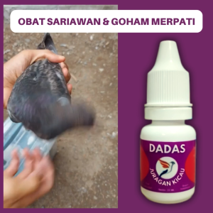 Obat Merpati Goham Sariawan Radang Dan Infeksi Pernafasan
