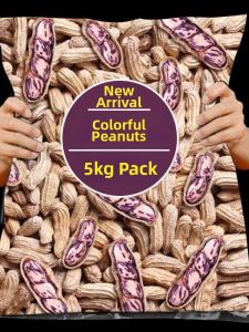 Fresh Dried Shelled Wild Multicolored Peanuts