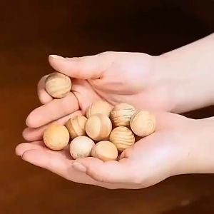 (10 pcs) KAPUR BARUS KAYU / KAMPER KAYU ALAMI PENGHILANG BAU / ANTI SERANGGA HAMA - Perlengkapan Rumah