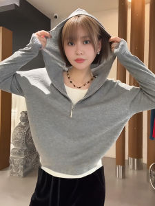 Gray Idle Style Half Zipper Hooded Long Sleeves Knitwear Female 2024 New Arrival Early Autumn Loose Western Style Inner Wear Blouse