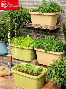 IRIS | Rectangle Large Planting Pot For Balcony Vegetables