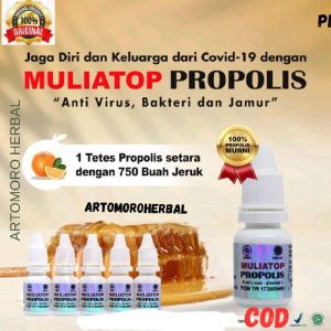 Mula Top Propolis 3 Botol x 6 ml - Herbal Untuk Daya Tahan Tubuh/Untuk Asam Urat Kolesterol Hipertensi Dll.