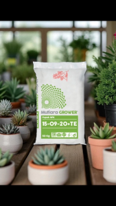 Mutiara Grower Pupuk NPK 15-09-20+TE kemasan (repack 1 KG)