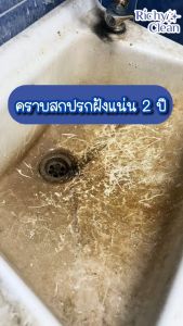 Richy Clean - น้ำยาขจัดคราบสนิม คราบปูน คราบยาแนว ขจัดคราบลึกฝังแน่น อย่างรวดเร็ว ไม่ต้องออกแรง ไม่มีกลิ่นฉุน (ขนาด 1000ml.)