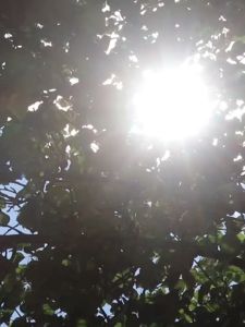 Car Sun shade Front Windscreen UV Rays Heat Sun Visor Umbrella Car Parasol Car Sun Shade Payung Kereta