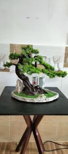 Cây Tùng Bách Bonsai Bằng Nhựa