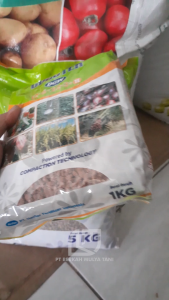 Pupuk  NPK Booster DGW 12-6-22-3+TE  1 KG / 500 Repack