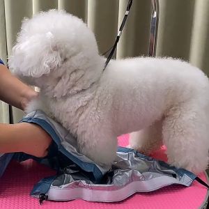 Túi trùm sấy khô lông cho Chó Mèo - Love Pets Shop