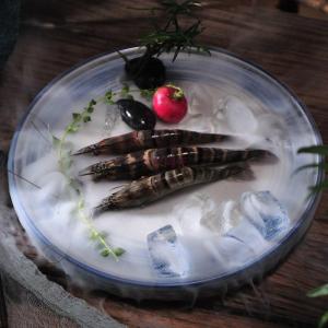 Hand-Painted Ceramic Dish round Shape Restaurant Quality Sushi Molecular Gastronomy Fish Shrimp Raw Eat Hotel Japanese Korean Style