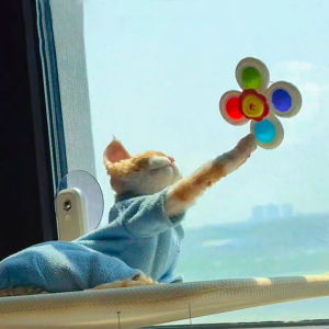 3Pcs Cat Bathroom Toys Fingertip Fun Spinning Top Kitten Suction Cup Spinner ToyRotating Swim Fidget ToysPet Enthusiast Gift