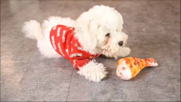 Funny Simulation Pet Dog Toys For Small Dogs Bite Resistant