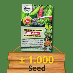 DINASTI SEED - Benih Cabe Rawit Hijau 5gr & 10gr Bibit Cabai ijo Asli Lokal Inti Murni (1000 - 2000) biji/butir - khusus pertanian jangka panjang dan skala besar - dapat dibuat bening kembali - potensi hasil panen tinggi tumpang sari tanam benih langsung