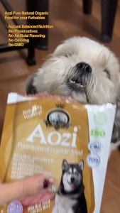 100g Aozi Natural Organic Dog Wet Food Pouch