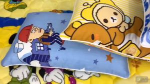 Organic Cotton Children pillowcases and Pillows With zipper / Bantal kanak-kanak (30cm x 50cm) (CPC)