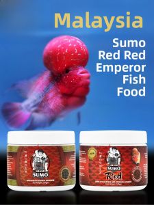 Sumo Wrestler Lucky Han Fish Food Particle Type for Medium Size Fish Pet Food And Supplies from Malaysia