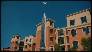 DAO BÔN LÔI không gỉ dài 53cm thiết kế độc đáo hợp phong thủy mệnh thủy