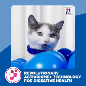 Hill's Science Diet Kitten Chicken Recipe Dry Cat Food 1.58kg - Formulated for Optimal Development and Growth in Kittens