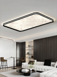 HUIPU ZHAOMING | Eye-protective Stylish Modern Ceiling Light