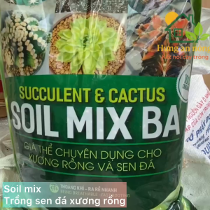 Soil mix BA túi 2.5kg - đất trộn hữu cơ chuyên trồng sen đá xương rồng
