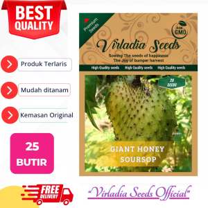 [Virladia Seeds] Biji Benih tanaman Sirsak Madu Jumbo