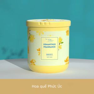 Sáp khử mùi phòng ngủSÁP THƠM PHÒNG NỘI ĐỊA TRUNG CỰC HOT nhà vệ sinh tủ quần áo Galit625