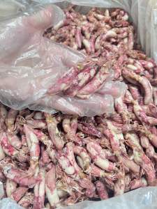 Mực muối đảo phú quý bị 1 ký