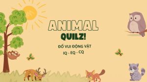 Sách - Combo 4 cuốn Animal quiz! (Song ngữ Anh Việt) - Đố vui động vật IQ - EQ - CQ - Tập 1-4