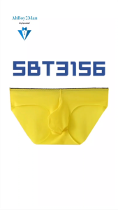 Mens Brief: Nylon Ice Silk 3D Pouch No Visible Line Brief Underwear (SBT3156)