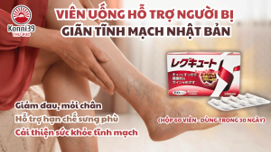 VIÊN UỐNG HỖ TRỢ NGƯỜI BỊ GIÃN TĨNH MẠCH NHẬT BẢN (HỘP 60 VIÊN - DÙNG TRONG 30 NGÀY)