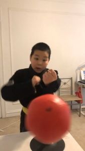 Bola Stand Penghilang Stress Speed Stand Ball Mini Samsak Mini