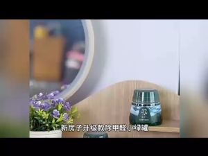 New house upgraded formaldehyde removal small green can household formaldehyde absorption odor remover jelly gel Hijau Kotak