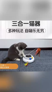 KEMIIM Rechargeable Cat Teaser Toy with Butterfly and Track Ball Features Low Noise Operation Auto Standby Mode