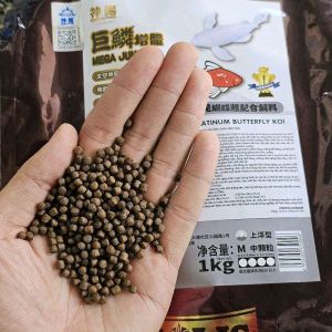 Cám Mega Jumbo Chép Phi Tần (Hạt nổi size 2li & 3li) Thức ăn cao cấp cho cá chép hỗ trợ tăng màu sắc độ sáng da dài vây.