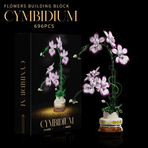 Creative Oncidium Eternal Flower Ornament Building Blocks Cymbidium Orchid Potted Plant Home Decoration Girl Valentine Day Gift