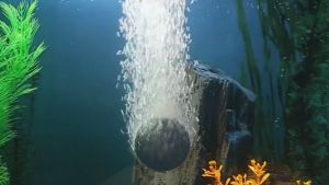 Aquarium Air Stone Disc Bubbler Aerator Accessories for Air Pump Fish Pond Hydroponics