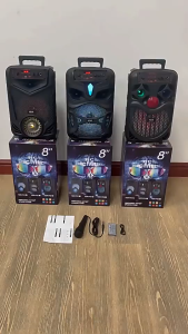 RD-P66 Portable 8 "Bluetooth speaker LED lights K song Karaoke Outdoor Family Party ktv 3D Stereo Amplifier party Car/Outdoor/Indoo