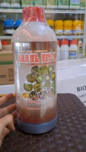ORBUL VIT PUPUK DAUN DAN BUAH FASE VEGETATIF GENERATIF