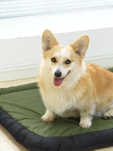 Dog Bed Cat Bed Washable Waterproof Sleeping Mat for Cat and Dog