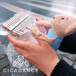 Đàn Kalimba 17 Phím Làm Từ Nhựa Acrylic Trong Suốt Thiết Kế Hình Chú Gấu Dễ Thương Nhạc Cụ Sáng Tạo cho Người Mới Bắt Đầu Trẻ Em và Người Lớn