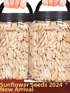 Mixed Flavor Peanuts and Melon Seeds Snacks