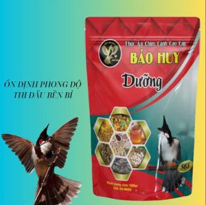 Cám Dưỡng Chào Mào Bảo Huy (nuôi dưỡng và thi đấu)