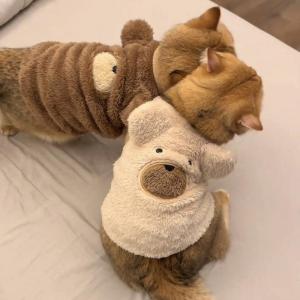 Thickened Bear Vest Cat Clothes Dog Sweater Anti Shedding Warm Pet Clothing Autumn to Winter Transition Essential for Your Pet