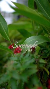 Serenade Scarf by Glenice: Gaya Vintage yang Elegan & Nyaman