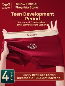 MiiOW | Antibacterial Cotton Boys Briefs