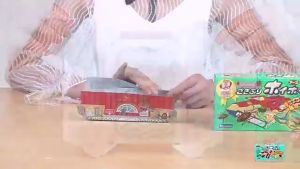 Cockroach Killer Lizard Trap Cockroach Bait Trap Insect Trap Pest Control Killer Household Non-toxic Cockroach Bait Perangkap Lipas 壁虎蟑螂屋